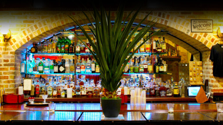 Agave plant on Congress Street Up bar