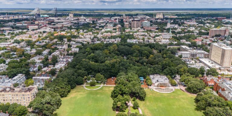Savannah-Aerial-Image